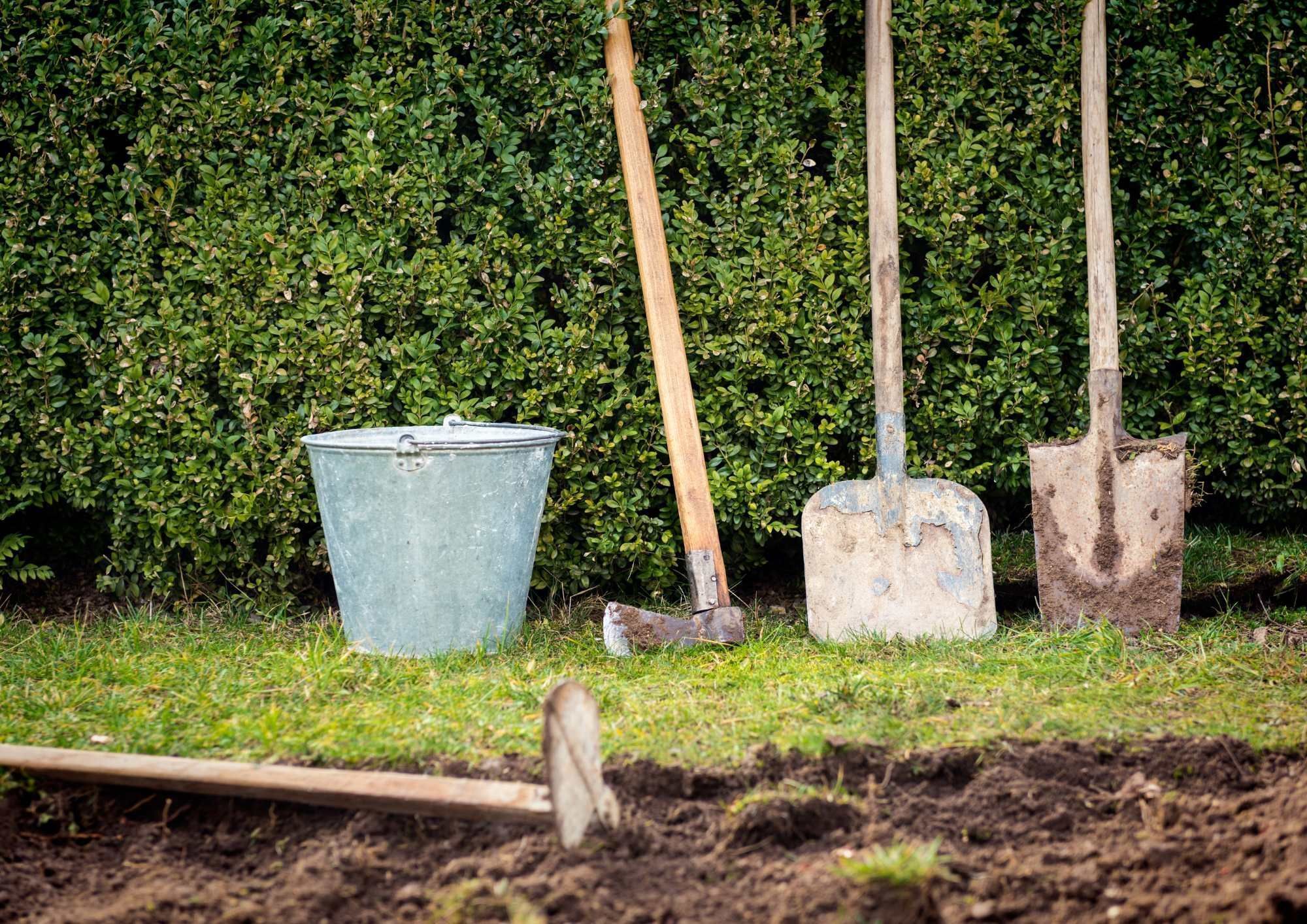 Hecke entfernen