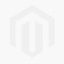 Blutbuche (60-80 cm) Topf Blutbuche (60-80 cm) Topf